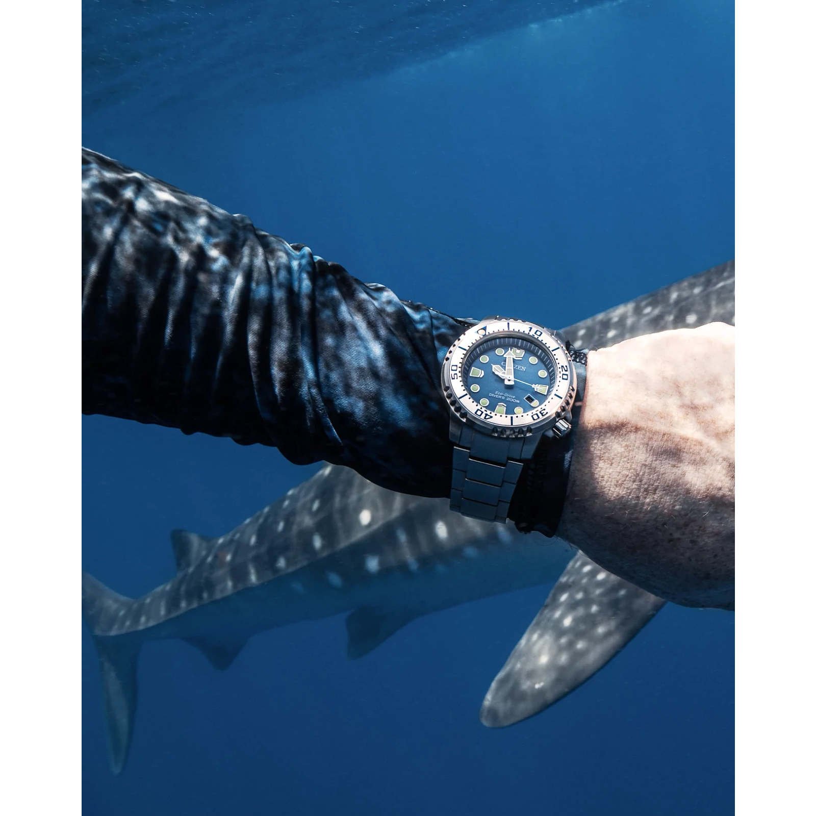 Reloj Citizen Promaster Dive BN0165-55L | Elegancia relojería
